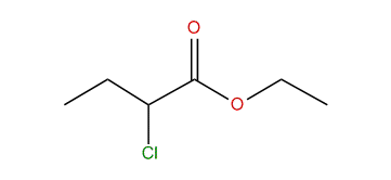 2-Chloroethyl butanoate